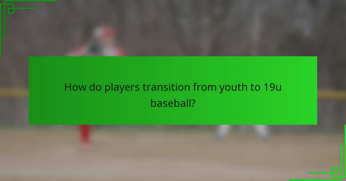 How do players transition from youth to 19u baseball?
