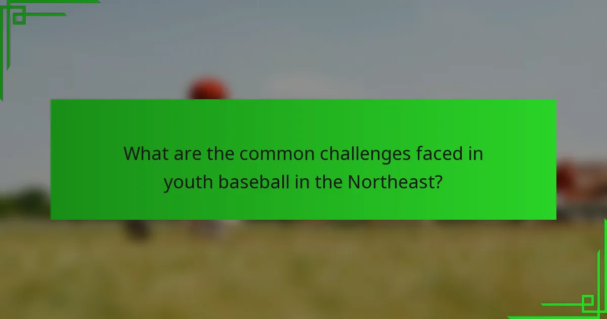 What are the common challenges faced in youth baseball in the Northeast?